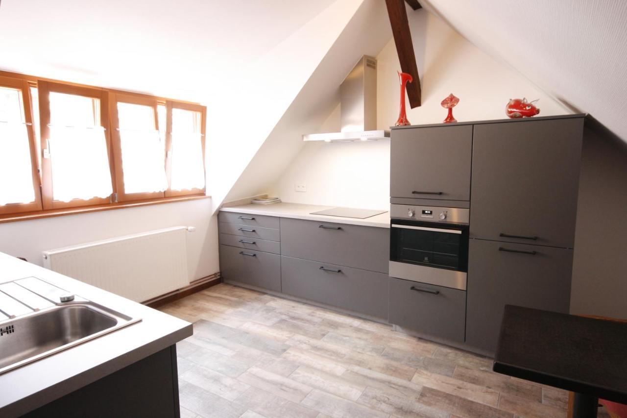 Appartement Le Chamois Kaysersberg-Vignoble Luaran gambar